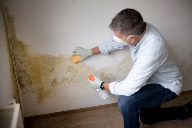 Best Mold Prevention Services  in Clewiston, FL