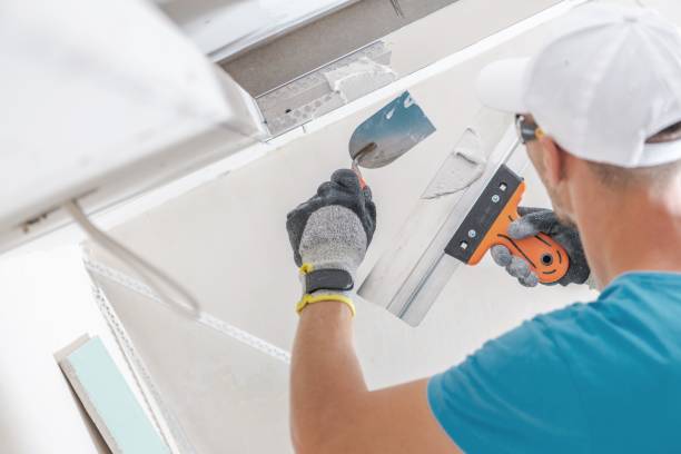 Clewiston, FL Mold Removal Company